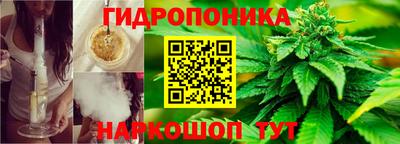 марихуана Новодвинск