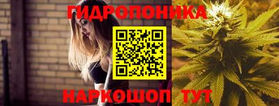 дживик Новозыбков