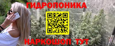 стафф Новокубанск