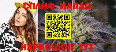 стафф Новокубанск